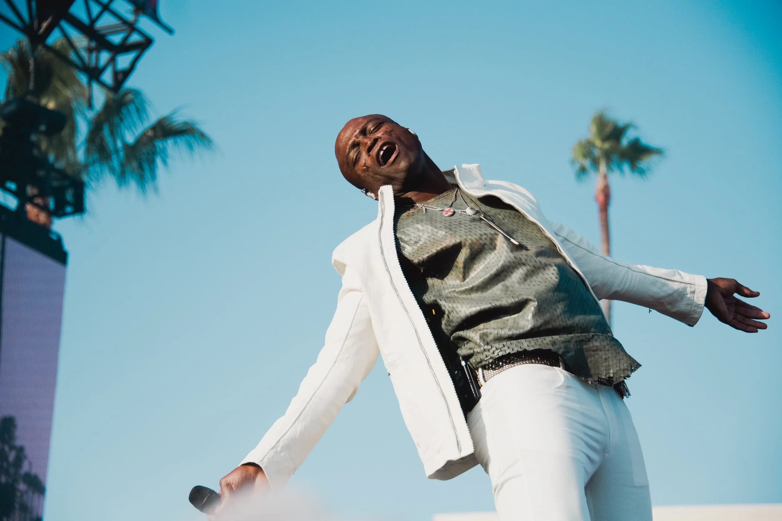 Seal, Beach Life Festival, Redondo Beach 2024